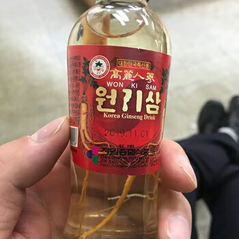 【送料無料】元気参 高麗人参ドリンク 120ml 10本 健康 ドリンク 飲料 栄養 韓国 紅参 高麗人参 朝鮮人参 こうじん 六年根 元気 スタミナ コロナ ウイルス 対策 免疫 力アップ