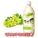 【送料無料】麹醇堂 マスカット マッコリ 750ml 5本 韓国 食品 食材 料理 お土産 酒 お酒 韓国酒 韓国お酒 韓国マッコリ