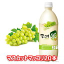 【送料無料】業務用 麹醇堂 マスカット マッコリ 750ml 20本 韓国 食品 食材 料理 お土産 酒 お酒 韓国酒 韓国お酒 韓国マッコリ