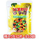 ヘテ ひまわり 種入り チョコ ボール 55g × 10袋 お菓子 おつまみ 韓国お菓子 ヒマワリの種 ヒマワリのたね ヒマワリの種チョコボール ヒマワリ種チョコボール