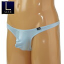 【レビュー特典】 メンズ 極小ストレッチフルシームTバック Lサイズ 男性用 日本製 TW754SX-L(4)