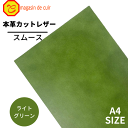 【ベリー】本革 【A4】【2404ライトグリーン】レザー ライトグリーン 緑色系 スムース 革 クロムなめし 皮 革 本革 牛本革 カットクロス セット 財布 ...