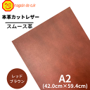 【バット】本革 【 A2 】 レザー 【2502 レッドブラウン 】 赤 赤色 スムース 皮 革 本革 牛革 ハギレ カットクロス お買い得 安い セット 財布 鞄 革小物 キーケース 革ハギレ 皮ハギレ 皮はぎれ はぎれ革 端切れ はぎれ DIY ハンドメイド 手作り クラフト 人気