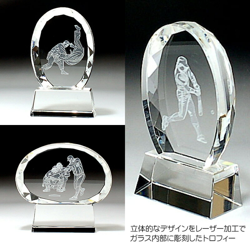 名入れ クリスタル 柔道 トロフィー 811 記念品 退職祝い 誕生日祝い 還暦祝い 退団記念 優勝 優秀賞