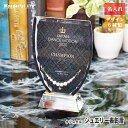 名入れ 名前入り ジュエリー クリスタル 表彰盾 DPJ-1 おしゃれ トロフィー 記念品 コンテスト