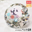 クリスタル位牌 位牌クリスタル ペット用位牌 ペット位牌 KP-22 メモリアルグッズ ペット供養 ペットロス 愛 猫 犬 写真