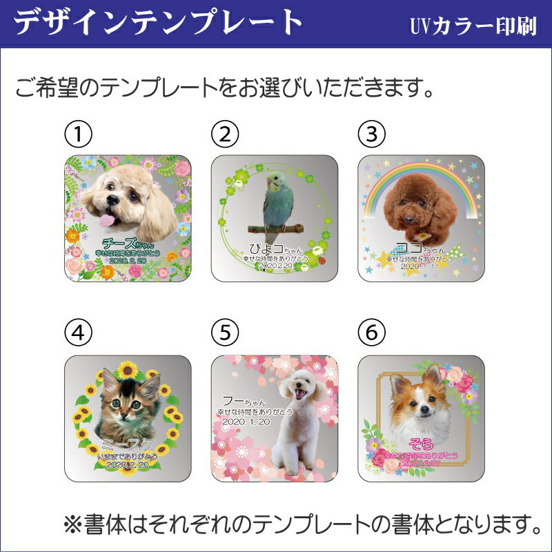 ���ꥹ������� ���ץ��ꥹ���� �ڥå��Ѱ��� �ڥåȰ��� KP-29 ���ꥢ�륰�å� �ڥåȶ��� �ڥåȥ��� �� ǭ �� �̿�