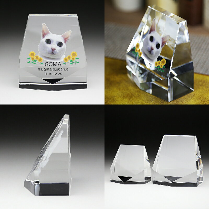 A＆K 日本製プリザーブド 金の荒神松 gKJ-001【送料無料】 メール便対応商品