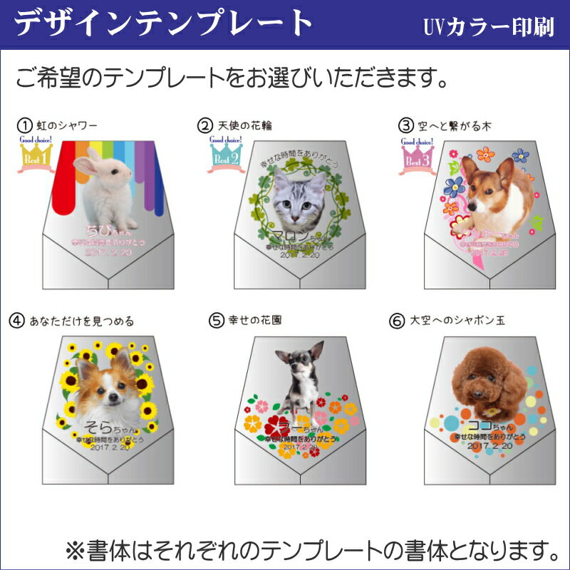 A＆K 日本製プリザーブド 金の荒神松 gKJ-001【送料無料】 メール便対応商品
