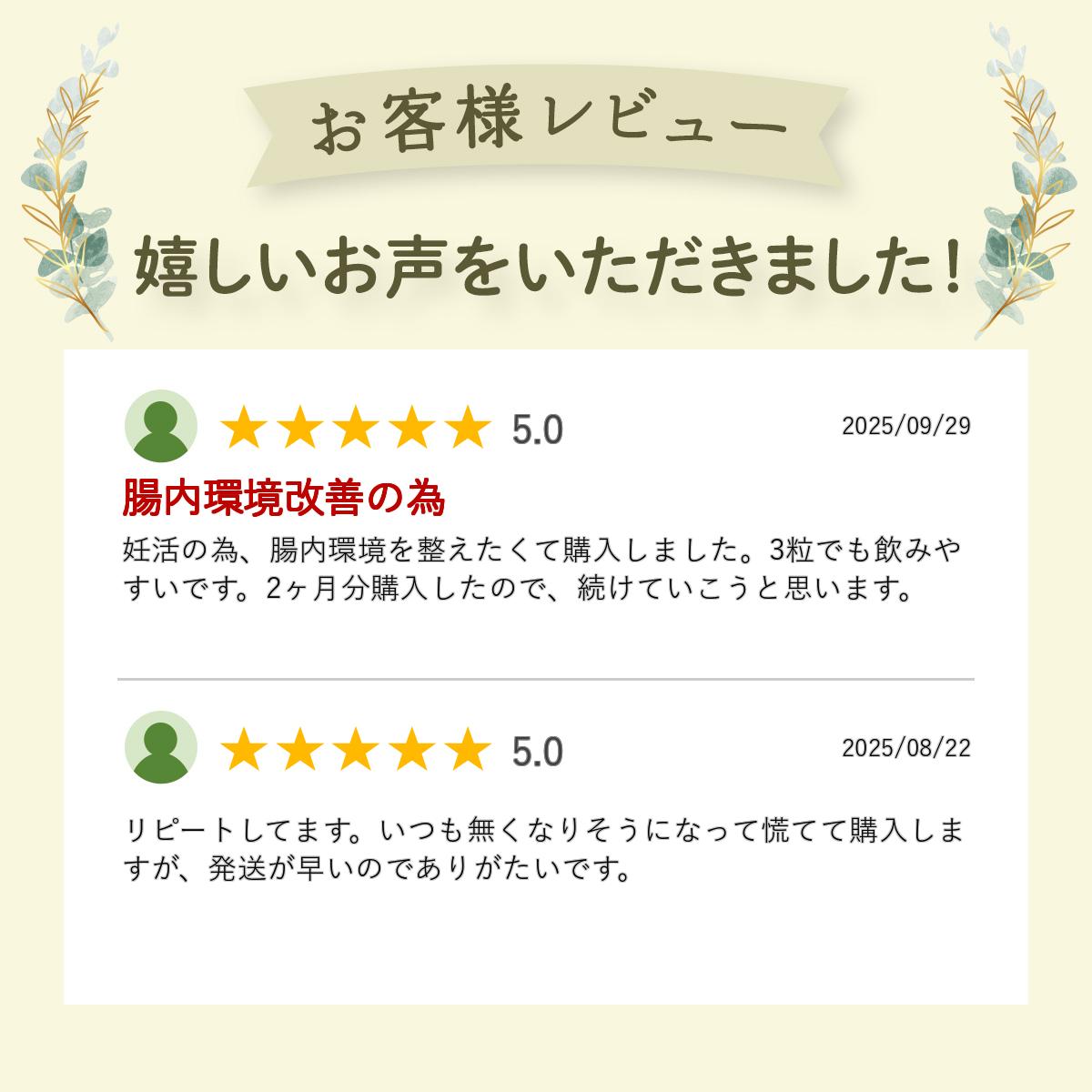 ラクトフェリン サプリ 300mg 得な2袋セット（180粒入り/60日分）腸溶性 子宮 サプリメント 腸内フローラ 腸まで届く 2人目 特許製法 妊娠【クーポン対象】【メール便】 - Image 3
