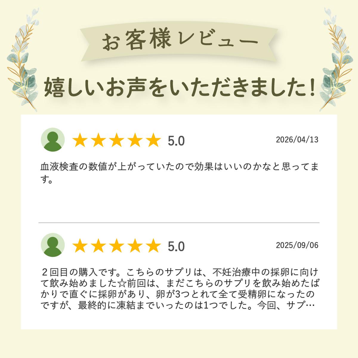 ミトコンドリア コエンザイムQ10 サプリ ミトコン Q10＋PQQ サプリメント(60カプセル)還元型コエンザイム ミトコンサプリ 2人目 サプリ 妊活 ピロロキノリンキノン Lカルニチン ミトコンドリア マイトル 活性化 増やす 妊娠 抗酸化 健康【メール便対象】 - Image 2