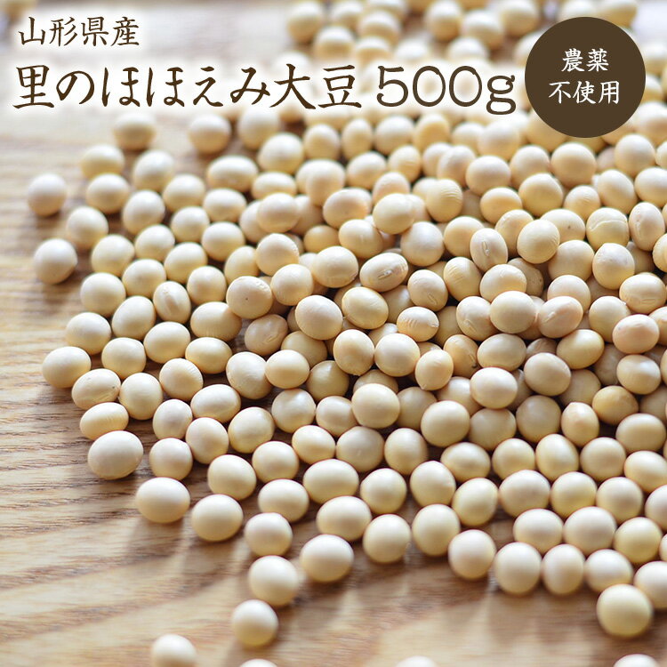 【宅急便】里のほほえみ 大豆 500g 自然栽培 山形県産大豆 農薬・化学肥料不使用 令和4年産