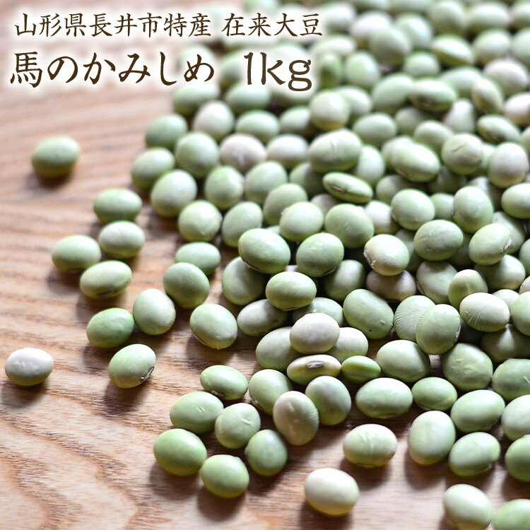 【宅急便】馬のかみしめ 1kg 【在来種】 山形県長井市特産 在来大豆 ひたし豆や味噌づくりにに最適 枝豆 青大豆 国産