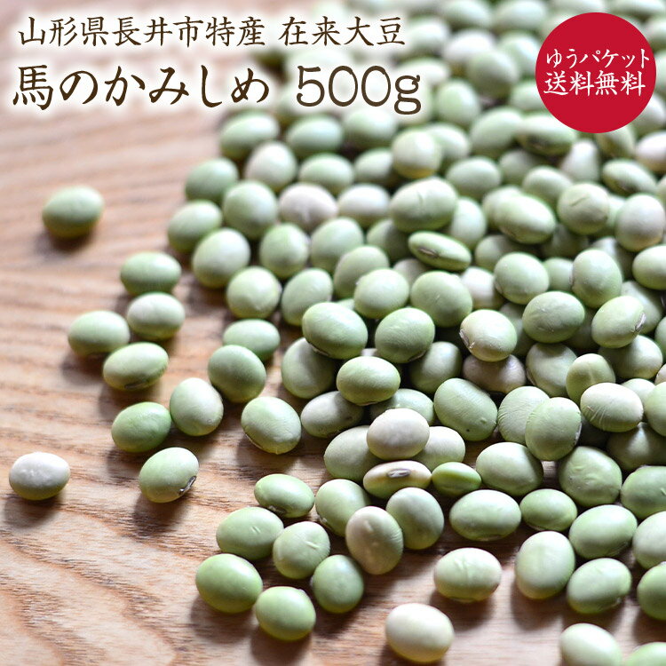 【ゆうパケット 送料無料】馬のかみしめ 500g 【在来種】 山形県長井市特産 在来大豆 ひたし豆や味噌づくりにに最適 枝豆 青大豆 国産