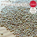 アメリカ産 グリーンレンティル 500g 皮付きレンズ豆 レンズ豆 農薬化学肥料不使用 有機栽培 オーガニック 五大健康食品 常備菜 豆サラダ スープ