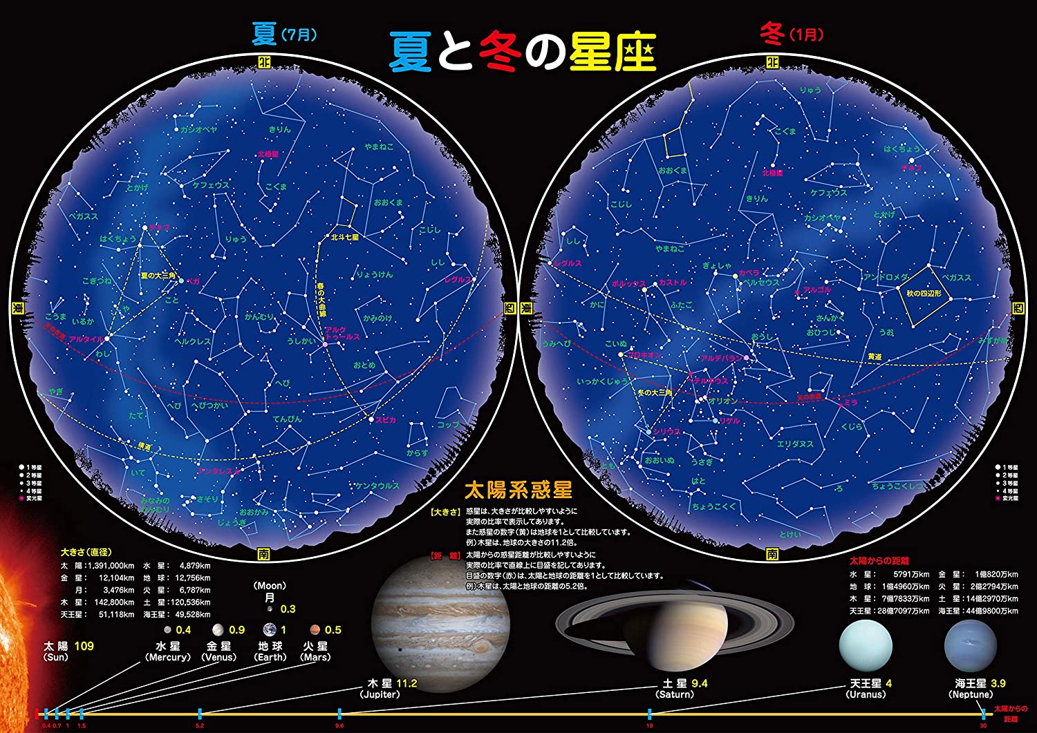 お風呂 宇宙ポスター (夏と冬の星座(大 60×42cm))