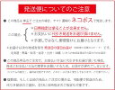 ウエディンググローブ フィンガーレス レースサテン ホワイト(ウエディング/ウェディング/フィンガーレスグローブ/ウェディンググローブ/ロング/グローブ/ブライ...