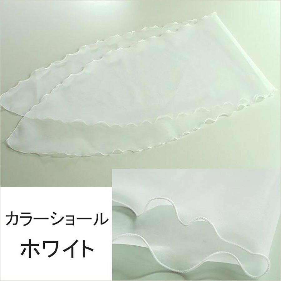 ���ȡ��� ���硼�� �ۥ磻�� �� �����ǥ��� �֥饤���� �뺧�� ���ղ� �ѡ��ƥ��� �������󥸡� �󼡲� �����饹 �ե����ޥ� ȯɽ�� ������� [S1-59]������̵����