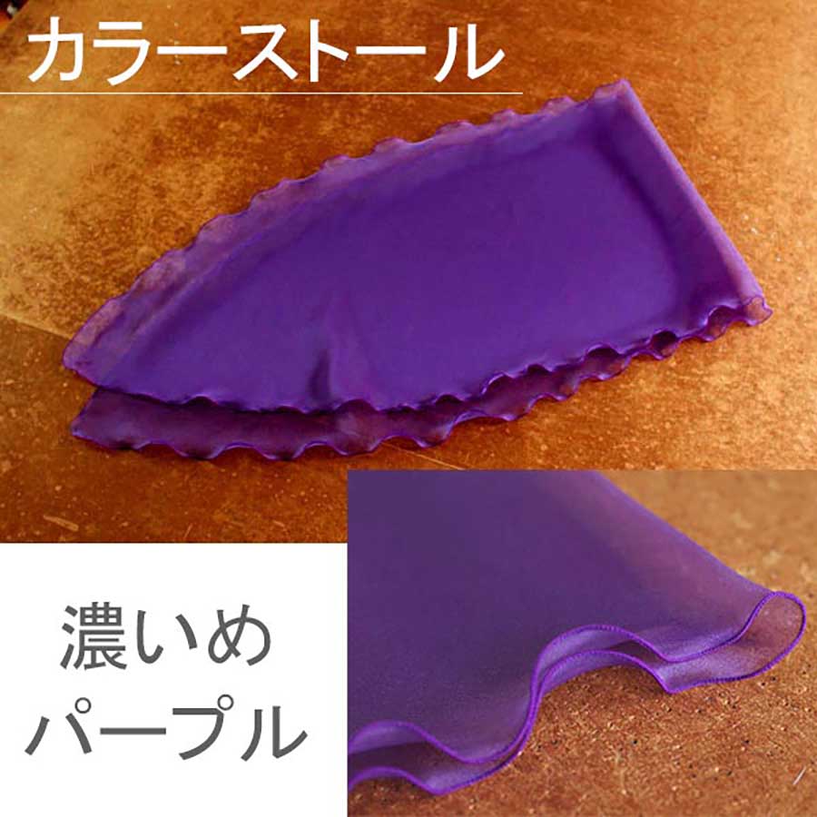 ���ȡ��� ���硼�� �� �ѡ��ץ� �����ǥ��� �֥饤���� �뺧�� ���ղ� �ѡ��ƥ��� �������󥸡� �󼡲� �����饹 �ե����ޥ� ȯɽ�� ������� [S1-24]������̵����