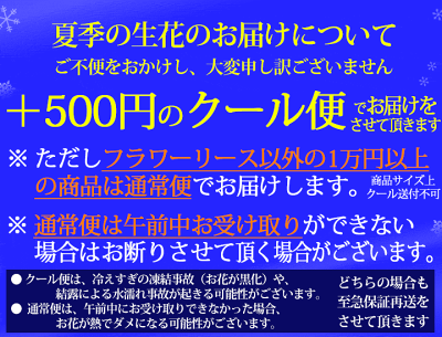 お供え花『お墓参りの花:お線香セット』生花┃お悔やみ御供えお供え命日一周忌三回忌法事墓前供花一周忌仏壇仏前お彼岸法要お花供養仏花お寺