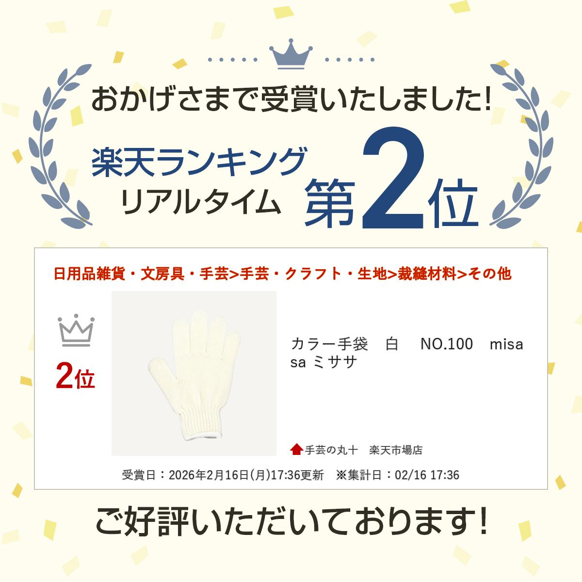 ���顼���ޡ��� NO.100��misasa �ߥ���