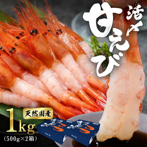 海鮮『 純国産 甘エビ 天然 1kg 500g×2箱 』 お刺身 OK 新鮮 甘えび 甘海老 アマエビ 刺し身 刺身 冷凍刺身 さしみ 食べ物 食品 魚 ギフト 贈答用 自宅用 プレゼント 福井 越前 冷凍 指定日着可 送料無料 国産 無添加