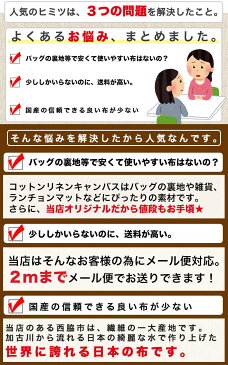 【1mカット済】コットン 生成り 綿麻 コットンリネン キャンバス 生地 布 手芸【商用利用可】