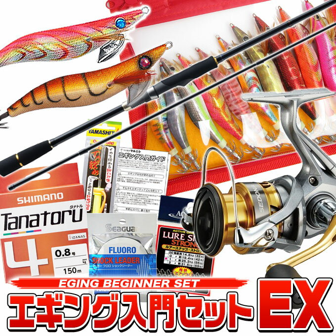 (E2)【代引き不可】エギング 入門 セットEX [エギ12個セット]