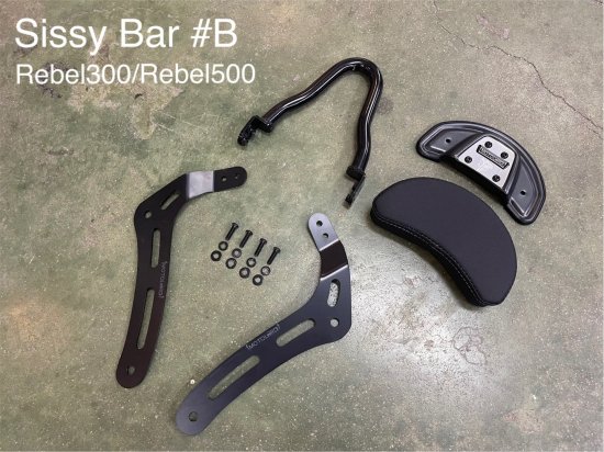 ۥ ֥250 ֥500 Хå쥹 B ǯ ms2125