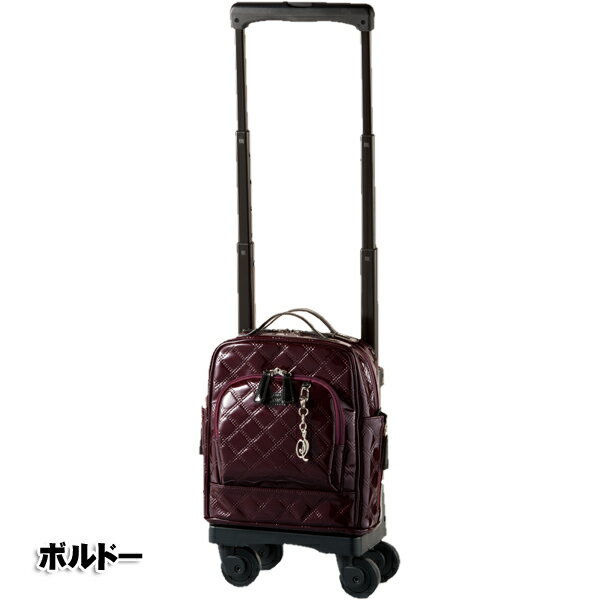 swany キャリーバック エマイロⅢ 新品未使用品 swany キャリーバック エマイロⅢ 新品未使用品 - メルカリ