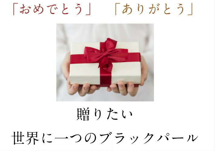 �ѥ��ʥåץ� �֥�å��ѡ��� ������� �ԥ��� �եå� �ɤ�� ��°����륮���б� 18kGP ���ҥ��ѡ��� �ϥ磻 30�� 40�� 50�� �� ��ǥ����� �ѡ��� ���ե� �ץ쥼��� ��ĳ���� �İ��� ���ҥ� �� ���� ��ʪ �͵� ������ �ե�