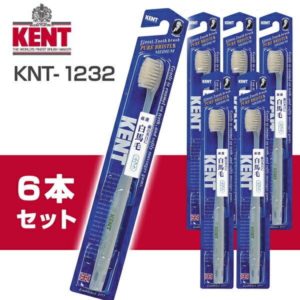【あす楽】【ネコポス・送料無料】KNT-1232 KENT 