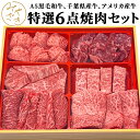 【送料無料 贈答用包装】 焼肉セット 食べ比べ 6種類 600グラム 冷凍 / 冷蔵 黒毛和牛 A5 牛肉 牛タン 赤身 霜降り 焼肉 鉄板焼 BBQ バーベキュー お取り寄せ おうちごはん グルメ おつまみ贈り物 プレゼント ギフト