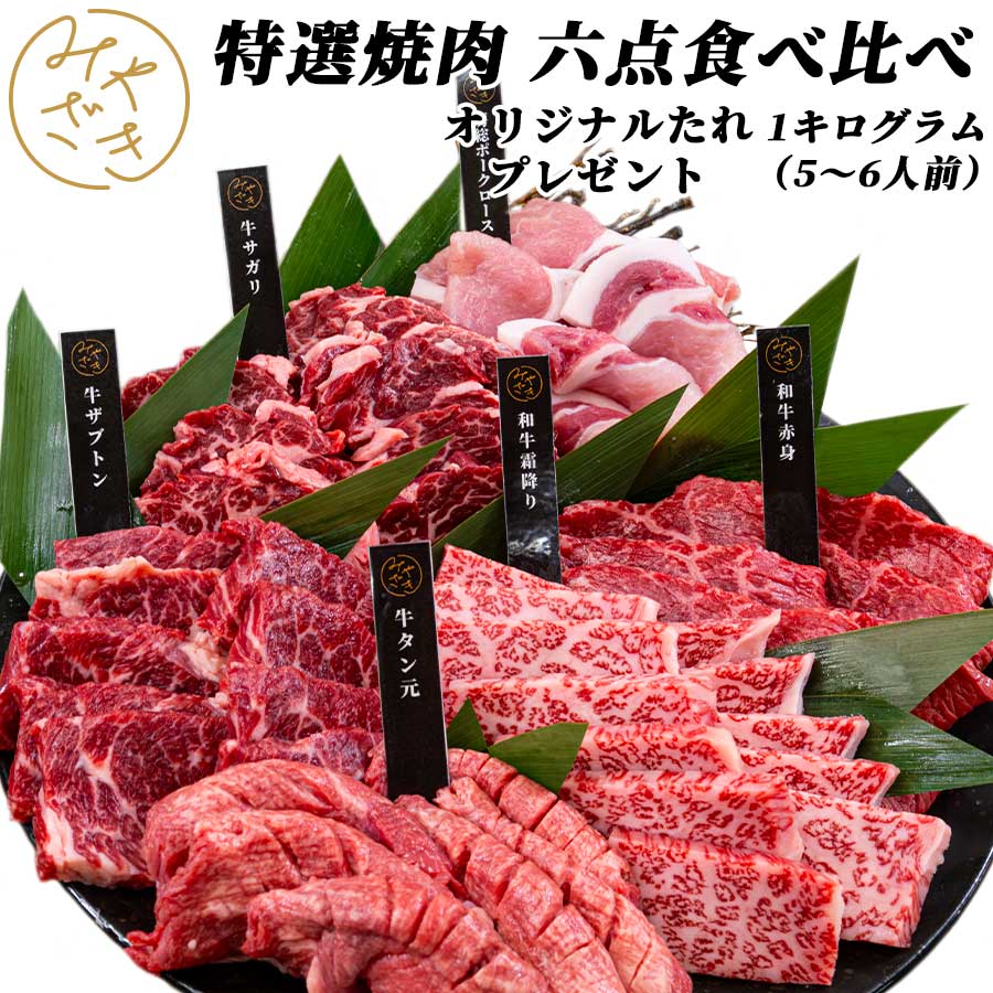 【送料無料】 焼肉セット 食べ比べ 6種類 1キロ （5 ～ 6人前） 冷凍 / 冷蔵 牛肉 豚肉 牛タン 赤身 霜降り 焼肉 鉄…