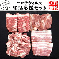 【送料無料】 生活応援セット 自宅療養セット 1.7キロ コロナウィルス 冷凍 牛肉 ...