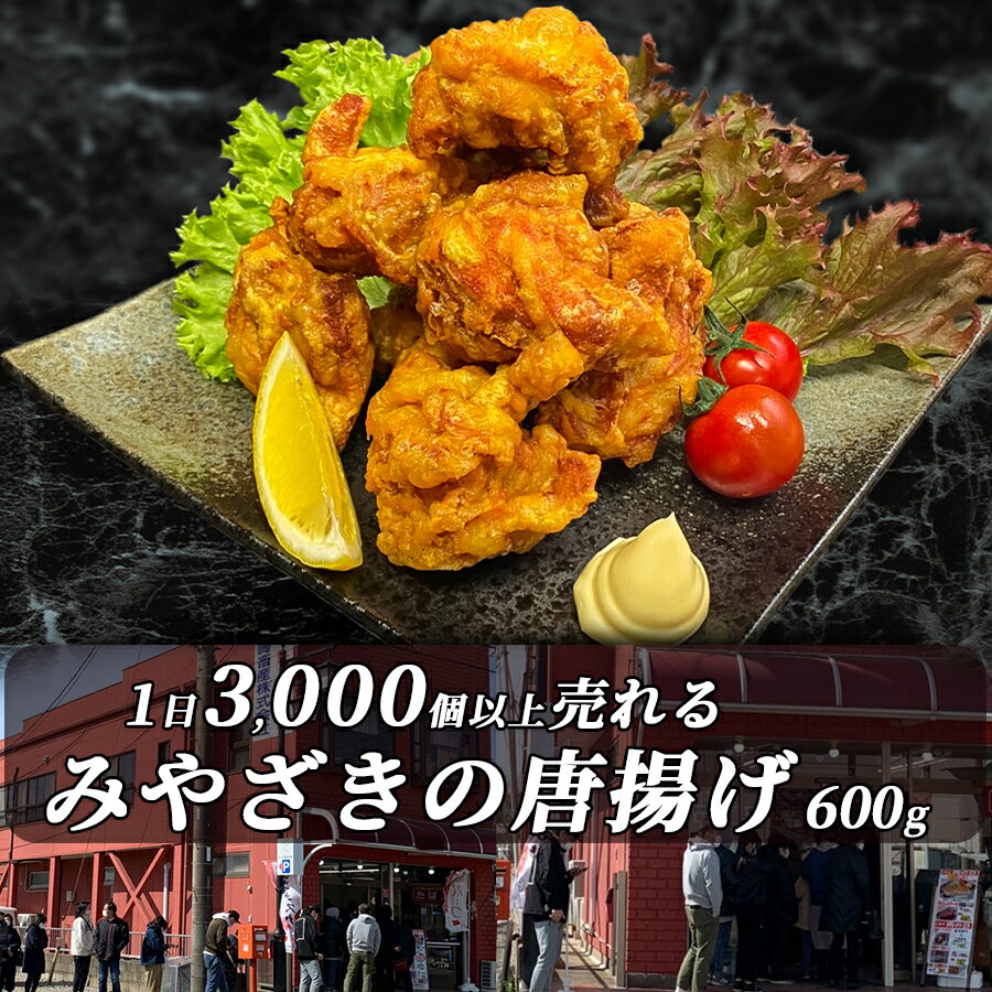 【行列ができて 1日3000個以上売れる 唐揚げ】 みやざきの唐揚げ 600g x 1パック 冷凍 飲食店 おつまみ お取り寄せ おうちごはん グルメ贈り物 プレゼント ギフト