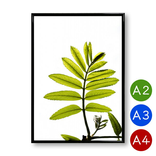 A2/A3/A4ポスター 青葉の植物ポスター マットコート紙 インテリア 植物 自然 写真 アートポスター 北欧 ポイント消化 送料無料