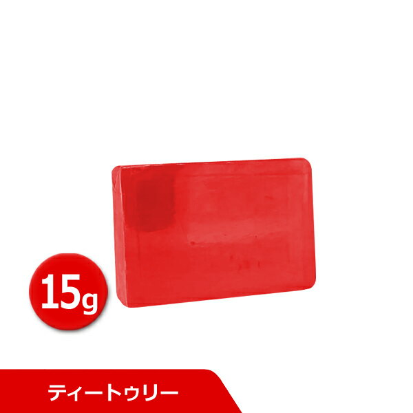 サンソリット スキンピールバー　ミニ ティートゥリー 15g Skin Peel Bar