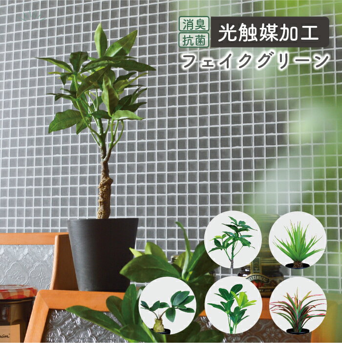 Rakuten - ブラックポットTS／抗菌 消臭 インテリアグリーン 光触媒 パキラ ドラセナ コーデックス シュフレラ センチュリー ブラック フェイクグリーン 造花 リアル 観葉植物 メンズ