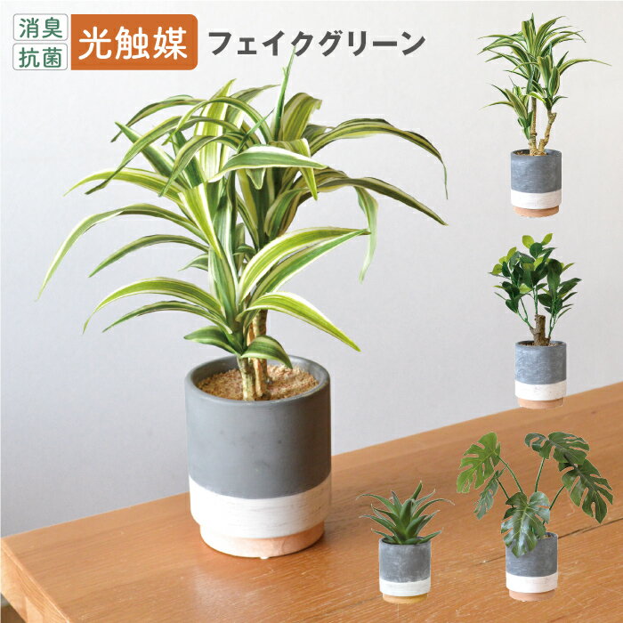 樂天商城 - CMポット／抗菌 消臭 インテリアグリーン 光触媒 フェイクグリーン 観葉植物 リアル ドラセナ フィカス モンステラ アロエ おしゃれ
