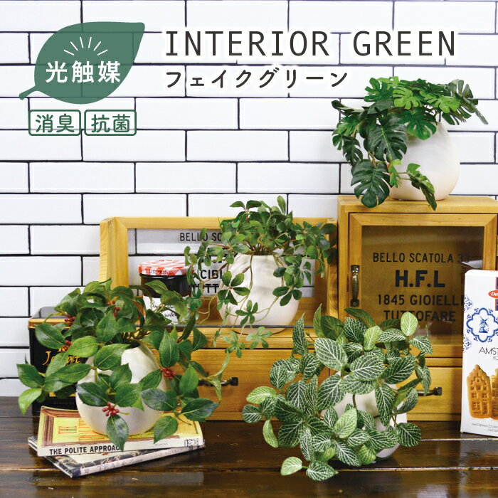 MRポット／抗菌 消臭 インテリアグリーン 光触媒 本物そっくり 観葉植物 カメリアリーフ フィットニア モンステラ シュガーバイン フェイクグリーン 造花 リアル 丸鉢 白鉢 水やり不要 ボタニカル 祝い 贈答品 プレゼント