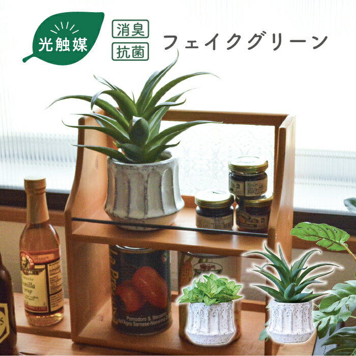 Rakuten - エペポット／抗菌 消臭 フェイクグリーン 光触媒 アロエ シンゴニウム 観葉植物 フェイクグリーン インテリアグリーン 造花 リアル おしゃれ