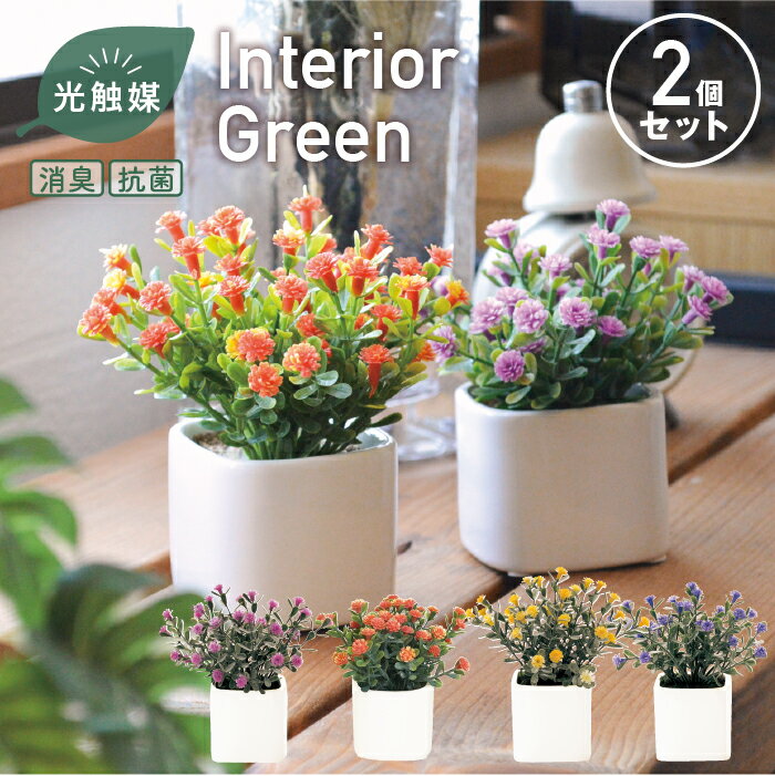 樂天商城 - 【2点セット】キューブポット デイジーセット／抗菌 消臭 インテリアグリーン デイジー 手のひらサイズ 光触媒 フェイクグリーン オレンジ パープル イエロー カラフル かわいい おしゃれ セット売り お得