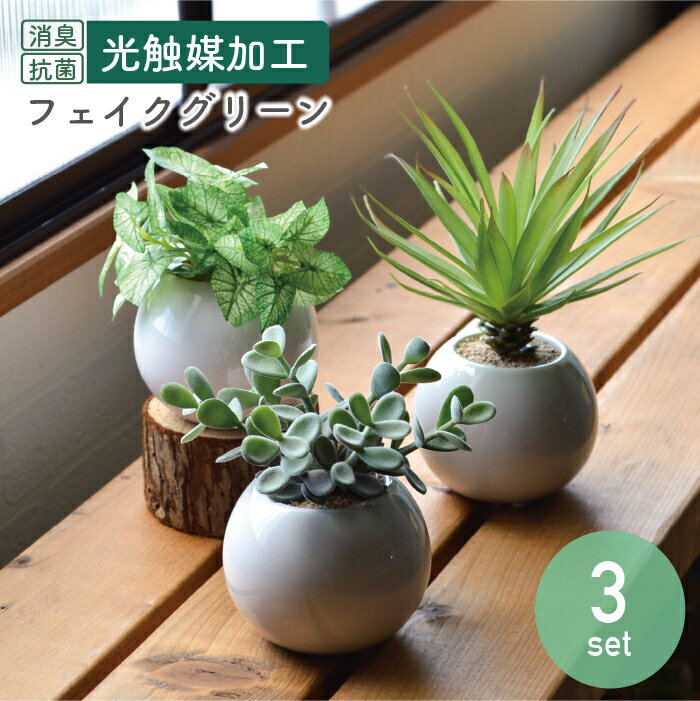 Rakuten - 【3点セット】ラウンドポットLセット／抗菌 消臭 まんまるポット インテリアグリーン 光触媒 センチュリー コチレドン シンゴニウム 白 フェイクグリーン リアル 花 造花 おしゃれ お得 セット売り