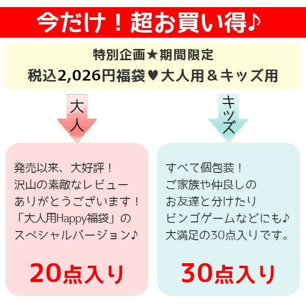 ハッピーバッグ 2026 大人20点 子供30...の紹介画像2