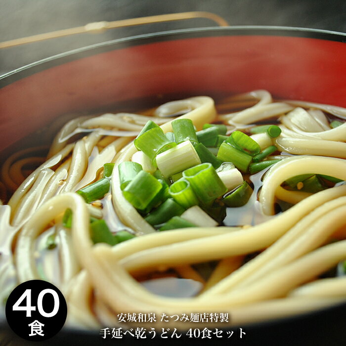 たつみ麺店　手延べ乾うどん2人前×20袋入り お歳暮 お中元 うどん 手延べ 手延べうどん 乾燥 乾麺 安城 和泉 名物 名古屋 名古屋名物 名古屋飯 名古屋めし 贈り物 ギフト