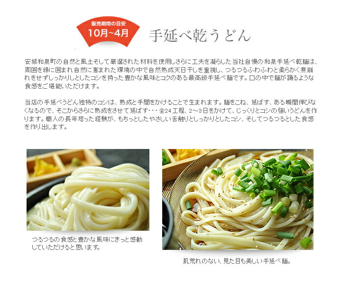 たつみ麺店　手延べ乾うどん2人前×20袋入り お歳暮 お中元 うどん 手延べ 手延べうどん 乾燥 乾麺 安城 和泉 名物 名古屋 名古屋名物 名古屋飯 名古屋めし 贈り物 ギフト