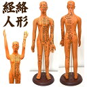 経絡・経穴(ツボ)人形 人体模型 鍼灸 エステサロン用品(4)
