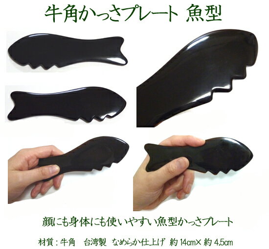 ���Ѥ��ä��ץ졼�ȵ��� �ڤ��ä�����ˡ�����ҥץ쥼������ ��ˤ���Τˤ�Ȥ�����γѤǽ��褿���ä��ץ졼�� Namera ���ä� ŷ�� ���� ���γ� �ޥå����� ���� ������ ���å��� �य�� �� �� �ܥǥ� ���å� ������ ������ �ʼ� ���ä���