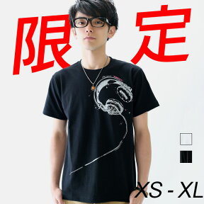 送料無料 Tシャツ メンズ レディース 半袖 ファッション トップス 綿 おもしろ オリジナル ロゴ アメカジ キレイ目 カジュアル デザイン 通販 白 黒 ペアルック 限定 おしゃれ シンプル プリント メッセージ 男女兼用 サイズ 服 春 夏 ADDICT